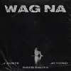 About Wag Na Song