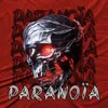 About Paranoia Song