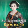 About Sembako Song