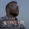 About Nu frate pate Song