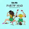 About Party Mad Song