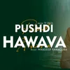 About Pushdi Hawava Song