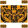 Eye Of The Tiger