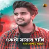 About Akta Mayar Pakhi Song