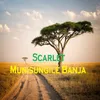 About Munisungile Banja Song