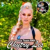 About Chytry Lis DJs Team RMX Song