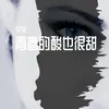 About Rage Beneath The Mountains 精美音乐 Song