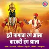About Hari Namacha Rang Aala Varkari Dang Jhala Song