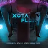 About Xota Flow Song