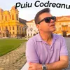 Album Puiu Codreanu Puiu Codreanu