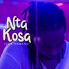 About Nta Kosa Song