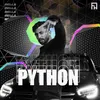 About Python Song