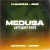 About Medusa West Indies Remix Song