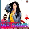 About Meri Chhatri Song