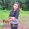About Ngaleh Roso Live Musik Song