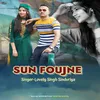 About Sun Foujne Song