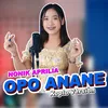 About Opo Anane Song