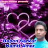 About Bapon Sarkar Namti Amar Song