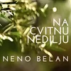 About Na Cvitnu Nedilju Song