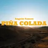 About Piña colada Song