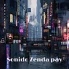 About Sonido Zenda pay Song