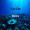 About Boza Song