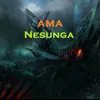 About Nesunga Song