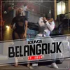 About Belangrijk Song