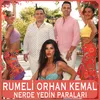 About Nerde Yedin Paraları Song