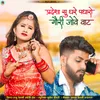 About Pardesha Su Ghare Padharo Gori Jove Vat Song