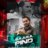 About Saara Pind Song