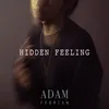 About Hidden Feeling Song