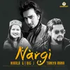 About Nargi Song