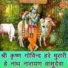 About Shri Krishna Govind Hare Murari He Nath Narayan Vasudeva Song