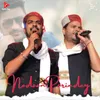 About Nadaan Parindey, Vol. 1 Song