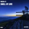 About Smell of Love Graffeo Mix Song