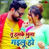 About Tu Hmke Bhula Gailu Ho Song