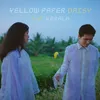 Yellow Paper Daisy