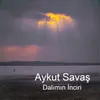 About Dalımın Inciri Song