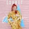 About Esaret Song