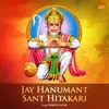 About Jay Hanumant Sant Hitakari Song