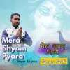 About Mera Shyam Pyara Song