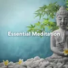 About Calm Relaxation Song