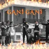 About Gani Gani Song