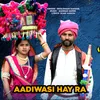 About Aadiwasi Hay Ra Song