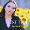 About Beni Bana Verir Misin Song