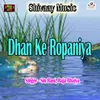 About Dhan Ke Ropaniya Song