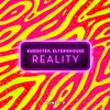 About Reality Song