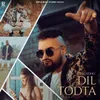 About Dil Todta Song
