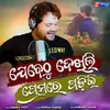 About Jebethu Dekhili Premare Padili Song